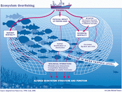 great barrier reef threats ecosystem impact acidification ocean